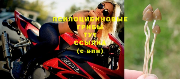 ешки Приозерск