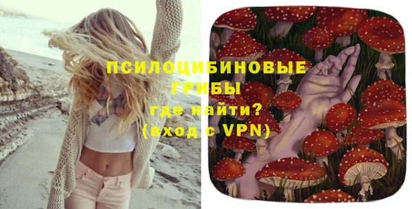 МДПВ Протвино