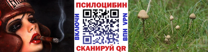 цены наркотик  Пересвет  Галлюциногенные грибы мицелий 